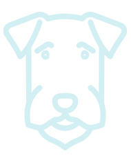 M�tin de Naples (M�tin Napolitain)